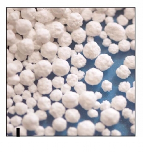 Calcium chloride prills 94 – 97% Feed grade